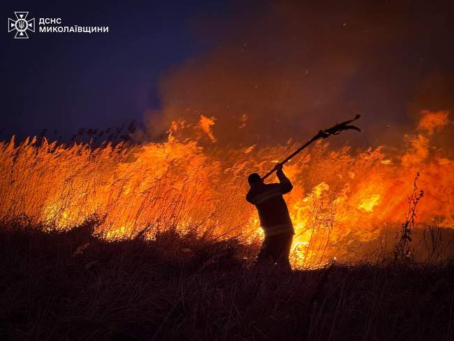 Burning reeds. PHOTO: SES