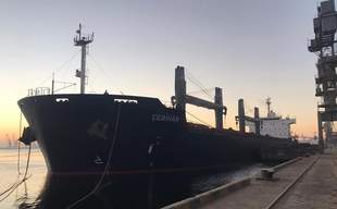 Зерновим коридором за дві доби з портів Великої Одеси вийшли 12 суден