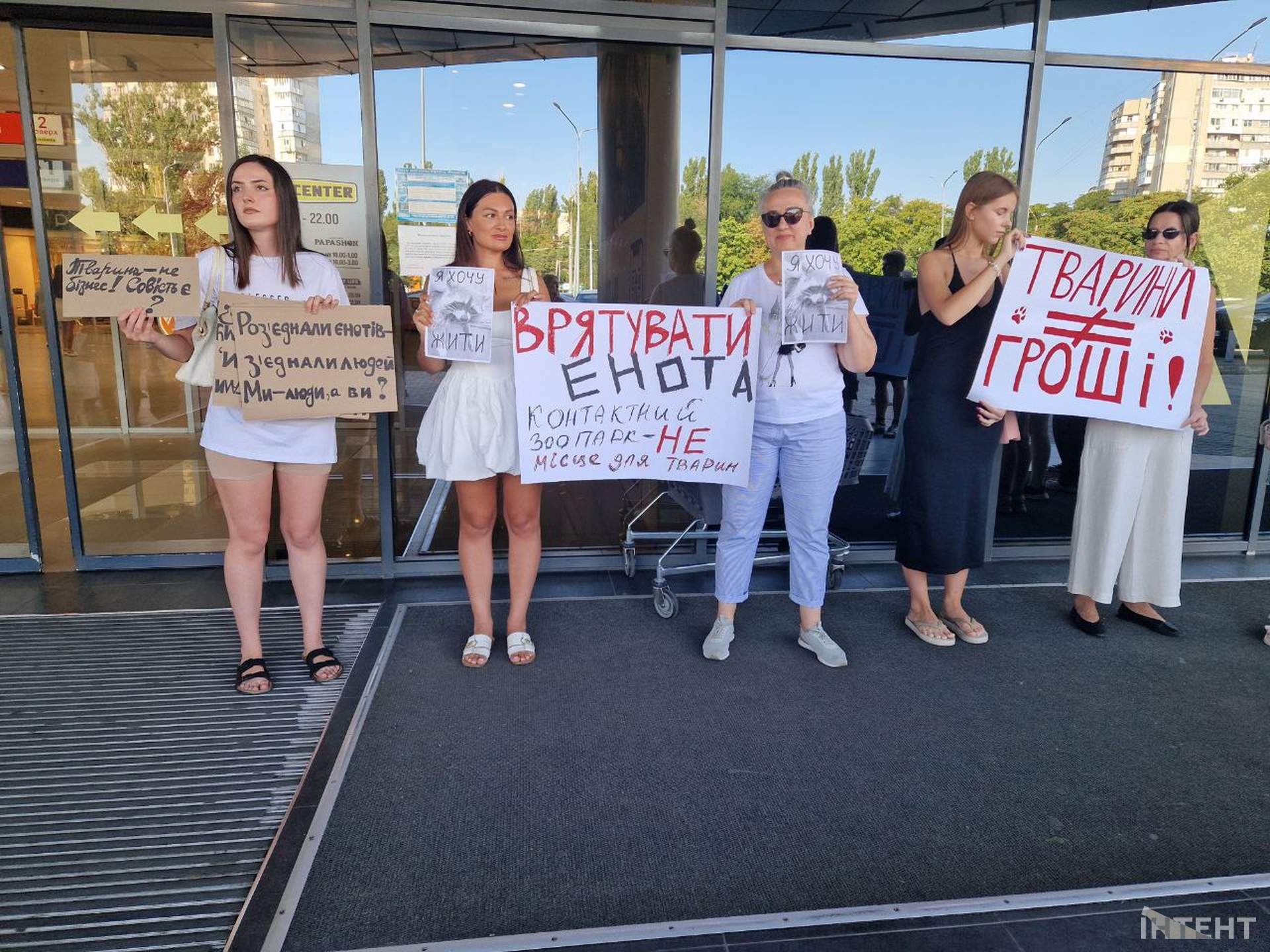 Одесити влаштували акцію протесту з вимогою врятувати єнота з контактного зоопарку