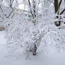 Зимова казка