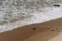 beaches