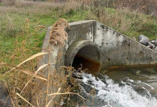 ФОТО: Нацпарк "Куяльницкий"