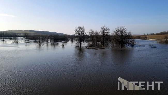 Фото: Андрій Колісніченко