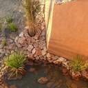 У Доброславі відкрили Дубай парк