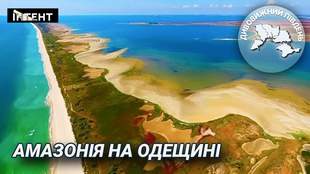 Удивительный Юг: Амазония в Одесской области