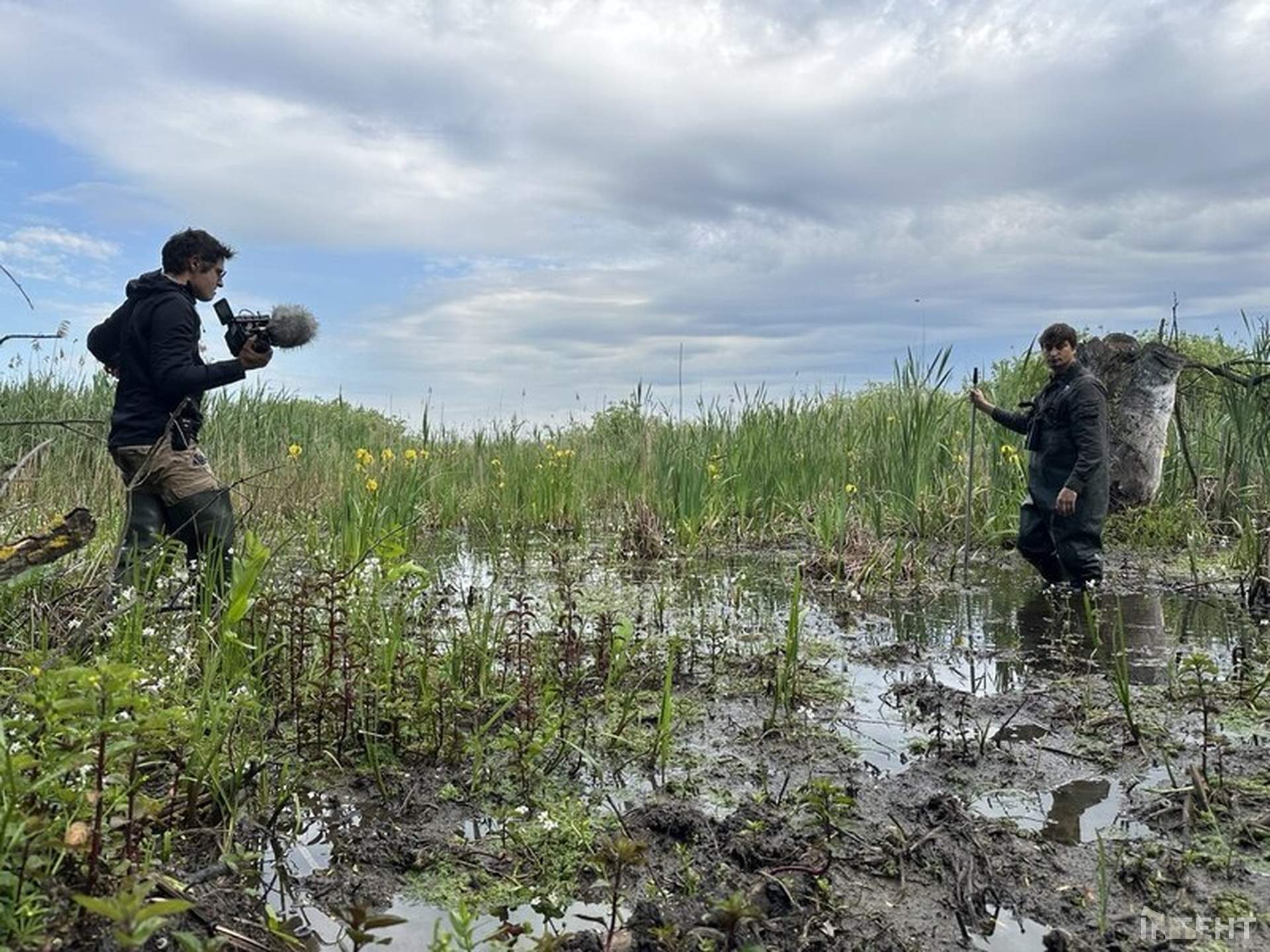 Фільм про дельту Дунаю переміг на міжнародному кінофестивалі
