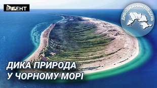 Дивовижний Південь: Тендрівська коса - земля між морем та небом