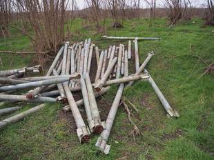 На Херсонщині молоді розповіли, як війна впливає на природу