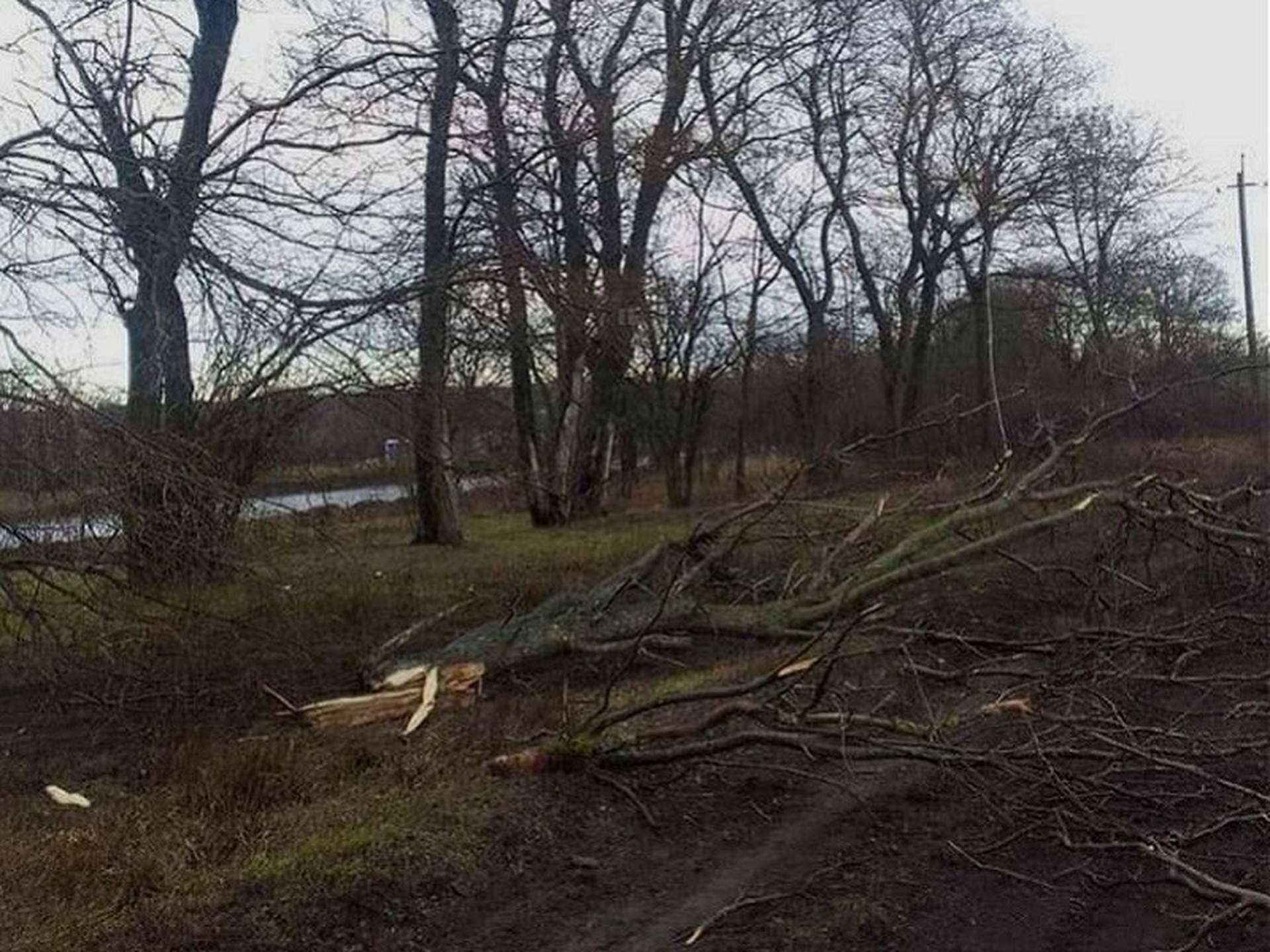 Через негоду на Одещині зранку знеструмлені 28 населених пунктів
