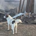 Внаслідок російських атак в Одесі постраждали четверо