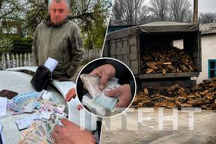На Одещині лісники платили керівникам по 300 тисяч щомісяця