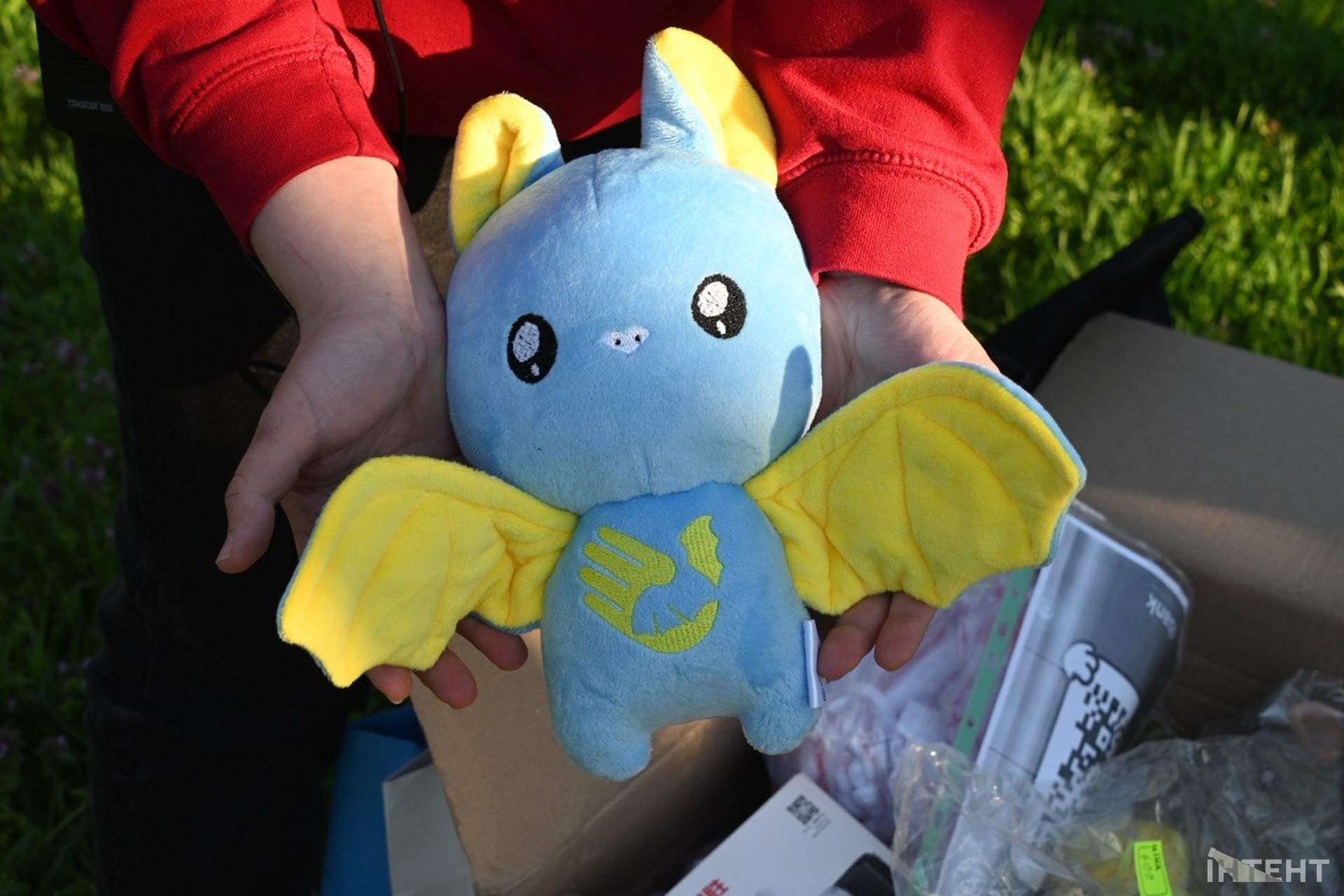 В одеському парку вперше випустили реабілітованих кажанів