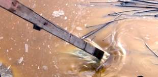 Ліквідація витоку олії в Миколаєві: що відомо