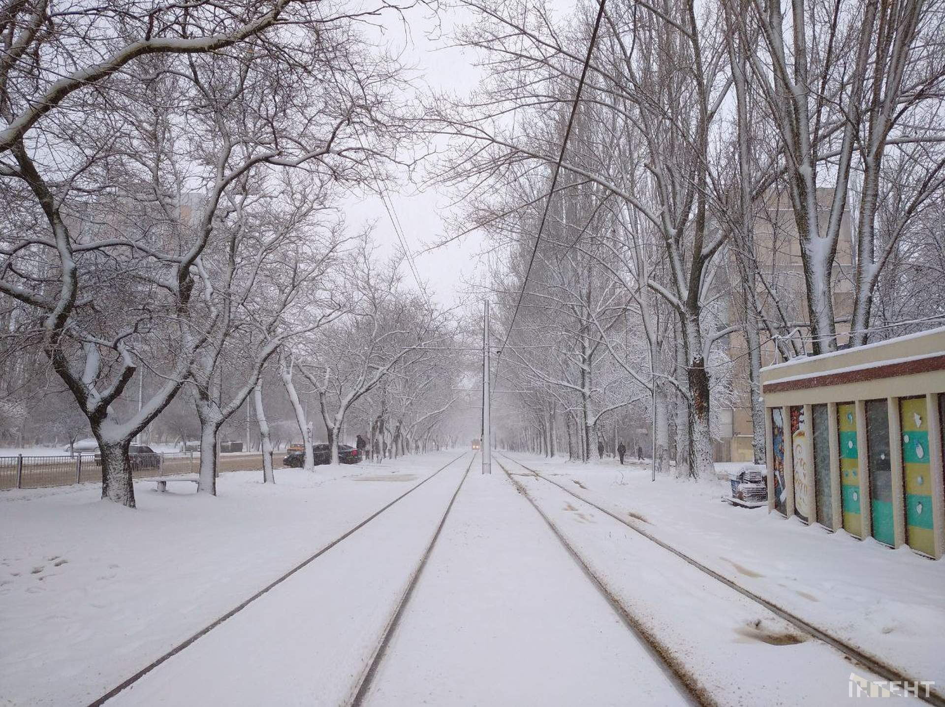 Зимова казка