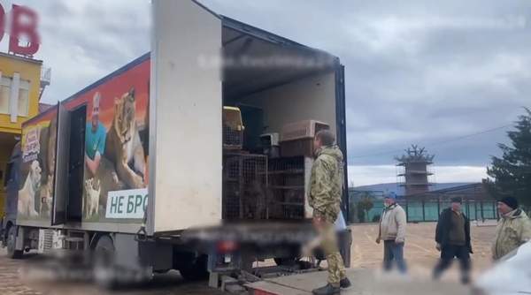 Фото: скрин з проросійського медіа