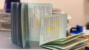 В Одесской области женщина избежала тюрьмы за схему с морскими документами