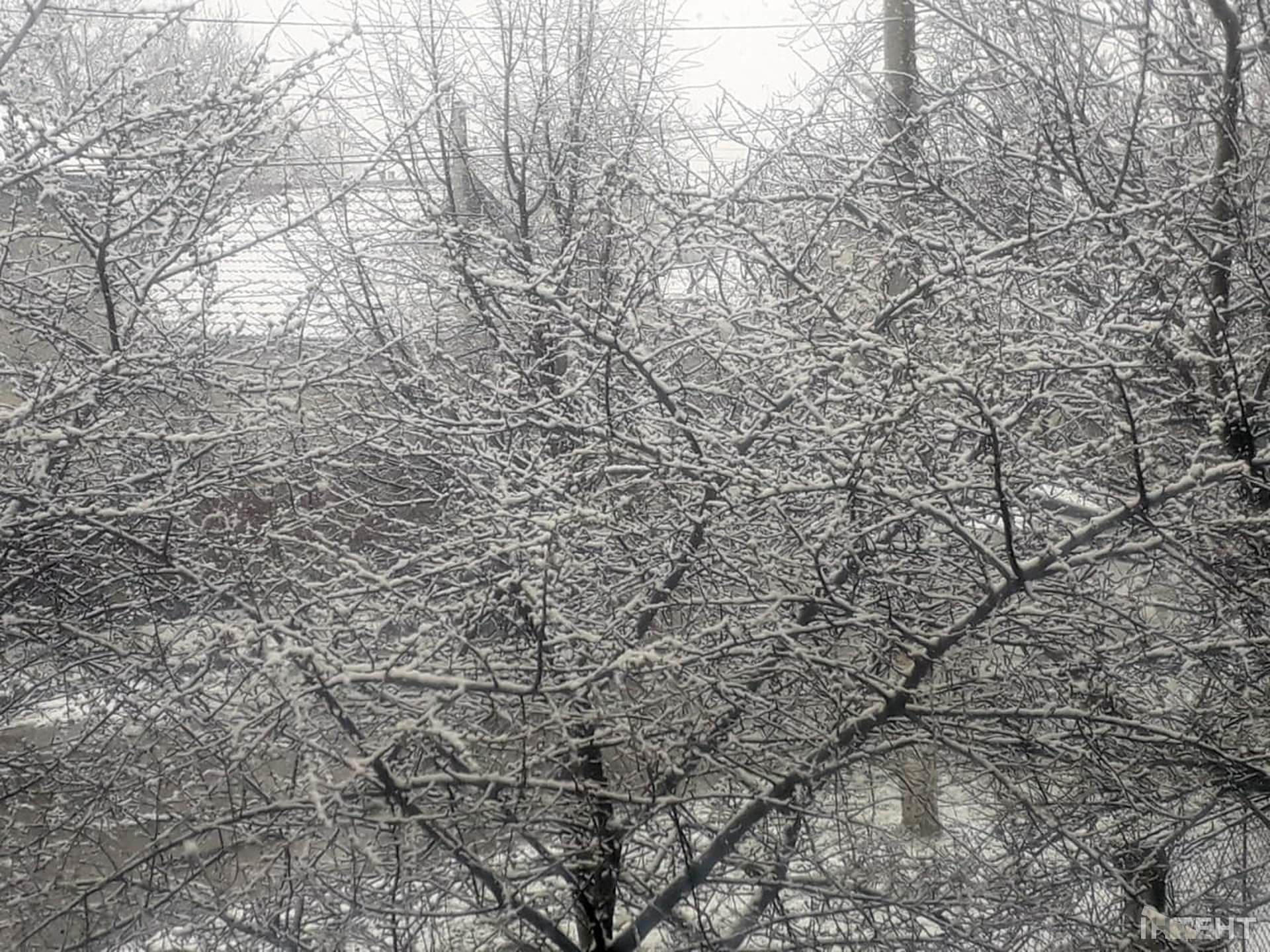 На Одещині пішов квітневий сніг