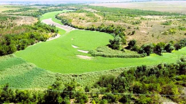 Нацпарк "Кам’янська Січ". ФОТО: сторінка у facebook