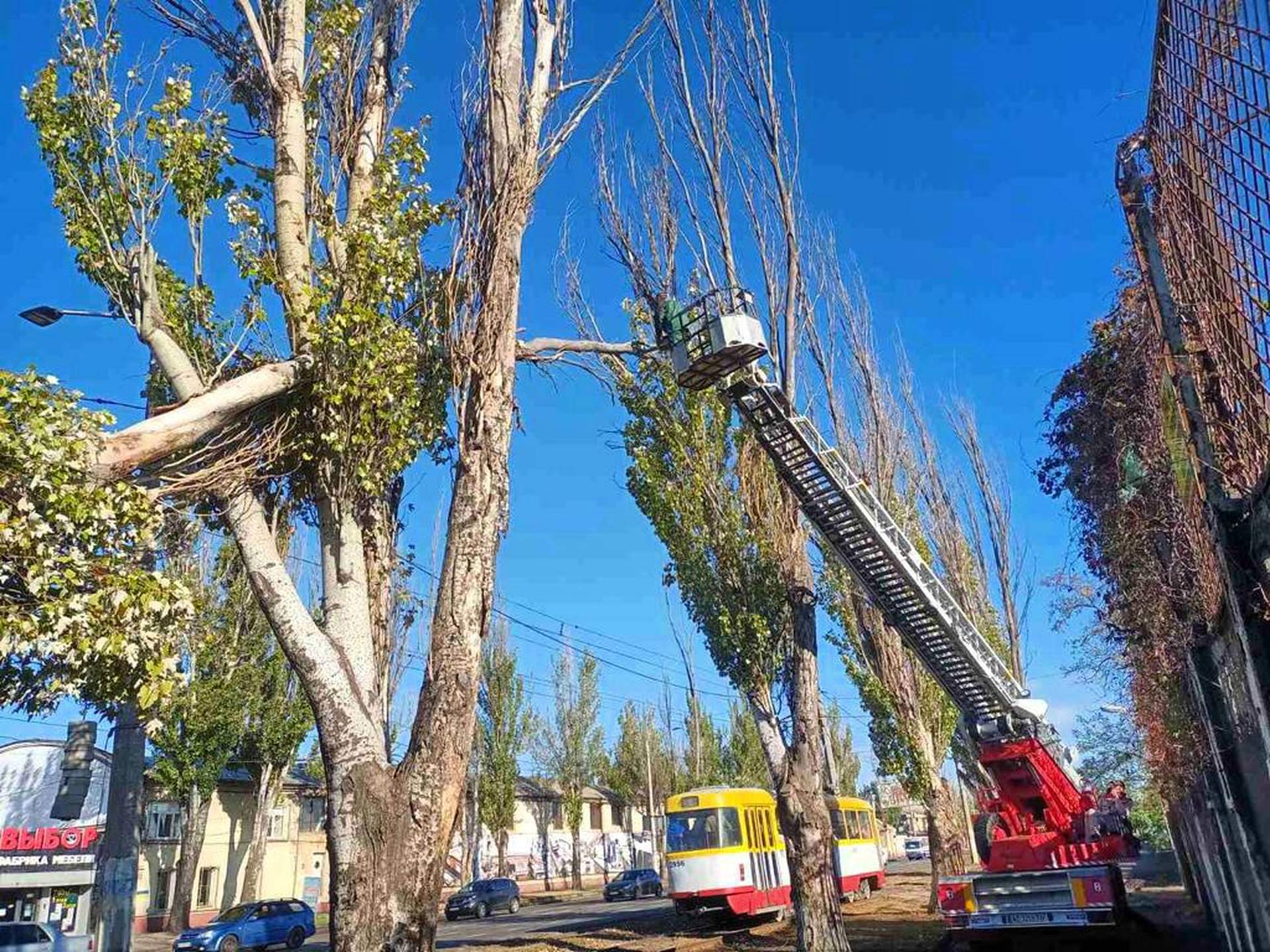 Пів сотні населених пунктів Одещини зранку залишалися знеструмлені через нічну негоду