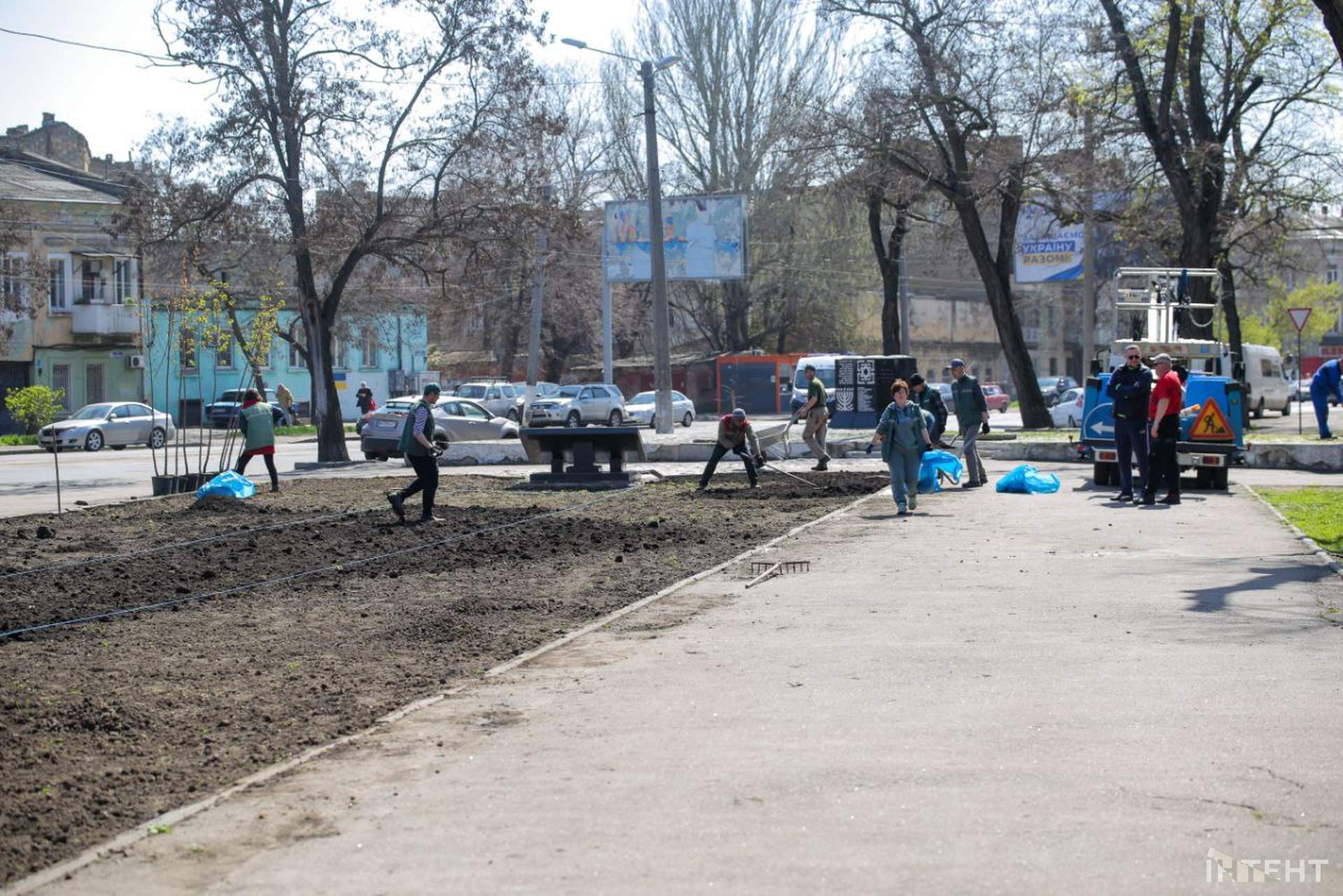 В Одесі висадили алею кленів в пам'ять Праведників світу