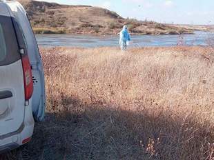 На Одещині розклали вручну майже чверть мільйона доз вакцин від сказу