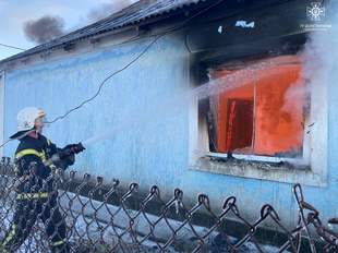 На Миколаївщині вогнеборці врятували від вогню чотири житлові будинки та корову
