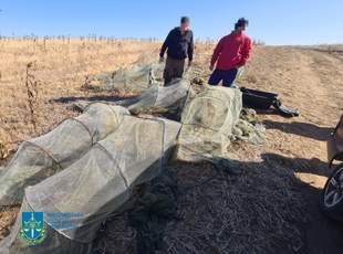 На Миколаївщині чоловік виловив риби на мільйон гривень