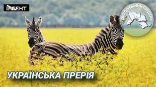 Дивовижний Південь: українська прерія