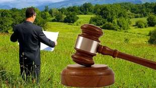 Аукционы субаренды земельных участков стартует на Николаевщине