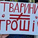 Одесити влаштували акцію протесту з вимогою врятувати єнота з контактного зоопарку