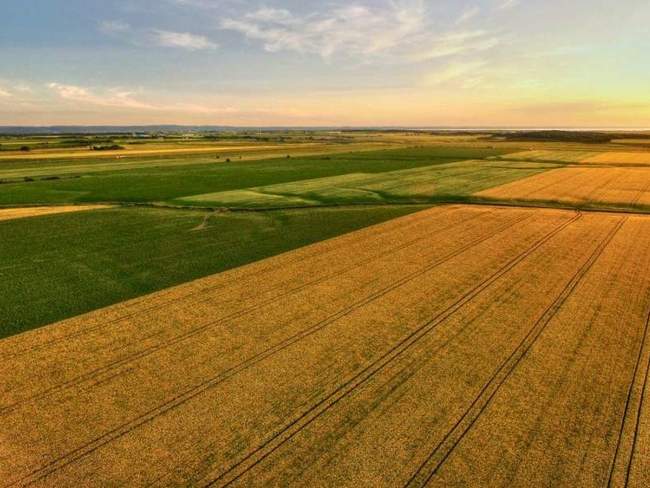 Фото: Верховна Рада України