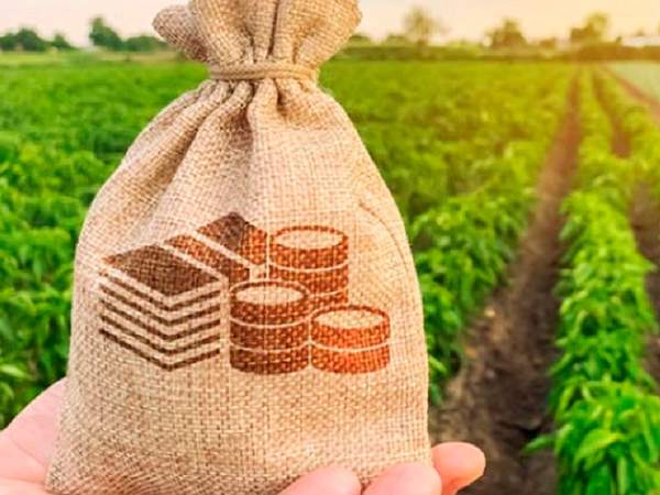 Фото: Agriteka.