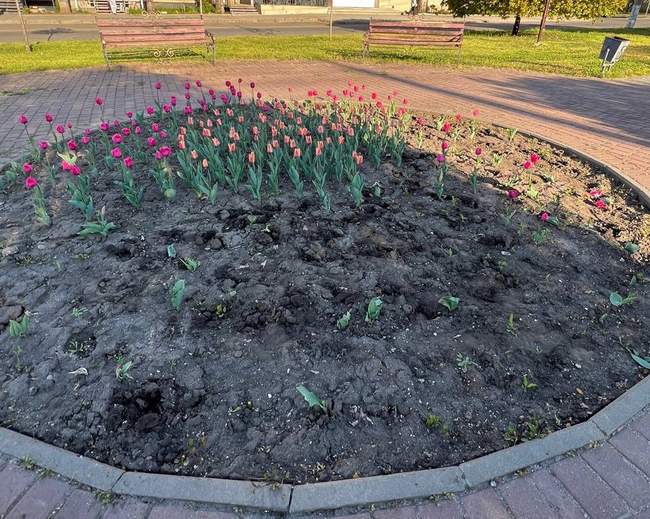 Фото: Миколаївська міська рада