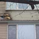 Безпілотник поцілив у багатоповерхівку в Чорноморську