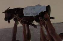 Фильм-открытие Docudays расскажет о выборах в Кении