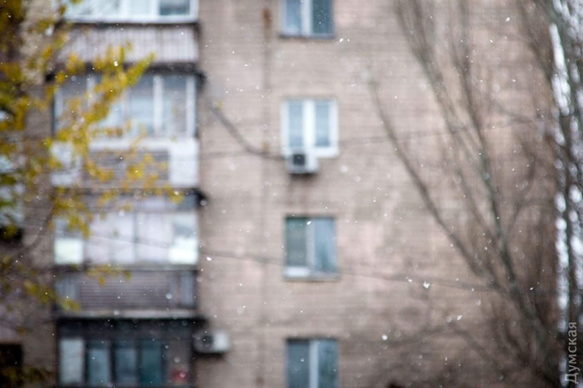 В Одессе выпал первый снег