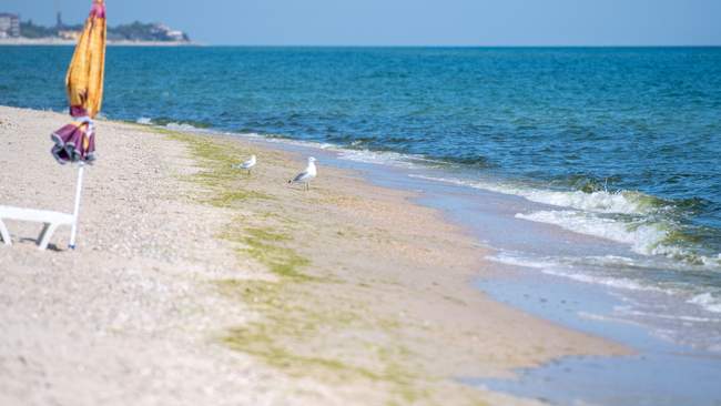 Пляжи Одессы. ФОТО: suspilne.media