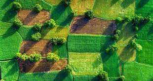 На Миколаївщині викрили шахрайство з землею вартістю понад мільярд гривень