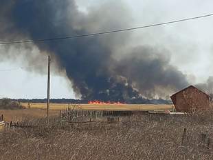 Внаслідок війни постраждало майже 80 заповідників Миколаївщини