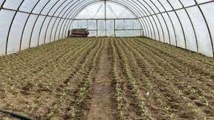 Mykolaiv region farmers get a chance for revival after Kakhovka HPP explosion