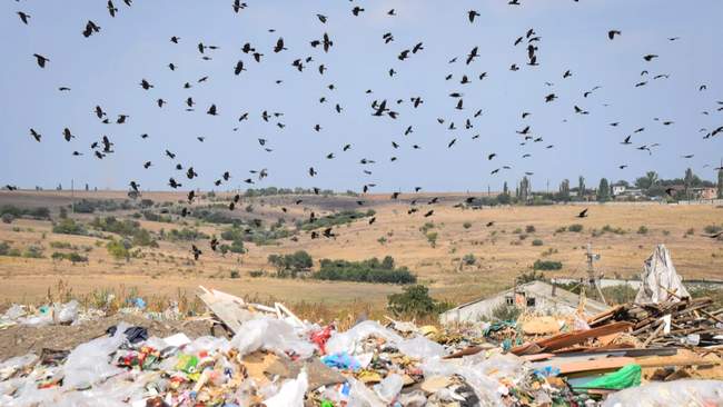 Смиттесвалка в Николаеве. ФОТО: nikvesti.com