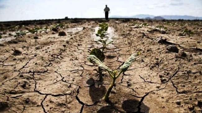 Засуха у Криму. ФОТО: ctrcenter.org