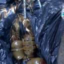 В Одессе проходят траурные мероприятия к годовщине событий 2 мая