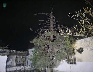 Атака дронів в Одеському районі призвела до пожежі на базі відпочинку