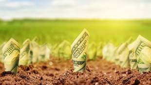 Prices for agricultural land have changed in Ukraine: the cheapest in Odesa and Mykolaiv regions