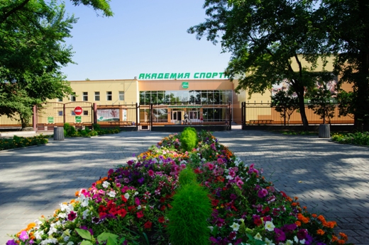 «Фестиваль спорта»