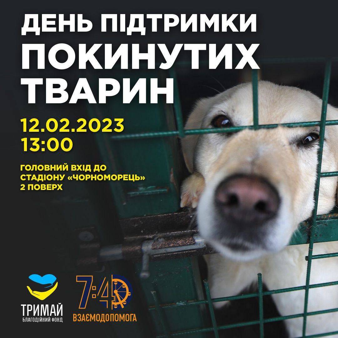 День підтримки покинутих тварин